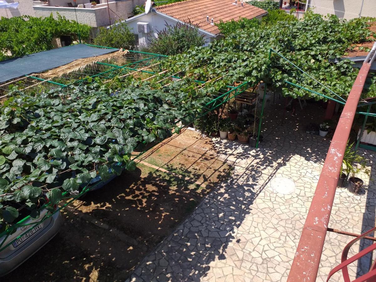 פיישצ'נה אובלה Levak Apartments - Apt. 1 מראה חיצוני תמונה
