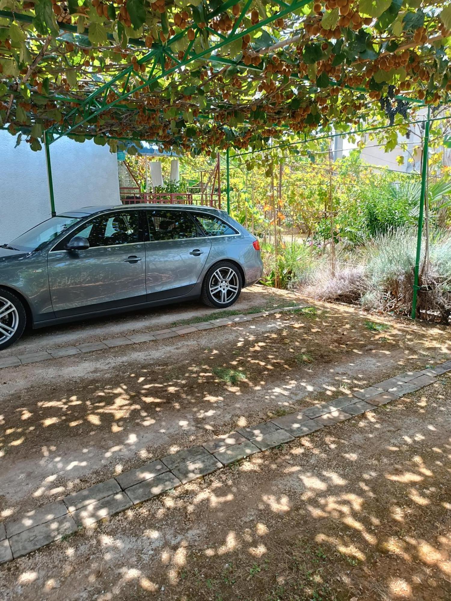 פיישצ'נה אובלה Levak Apartments - Apt. 1 מראה חיצוני תמונה