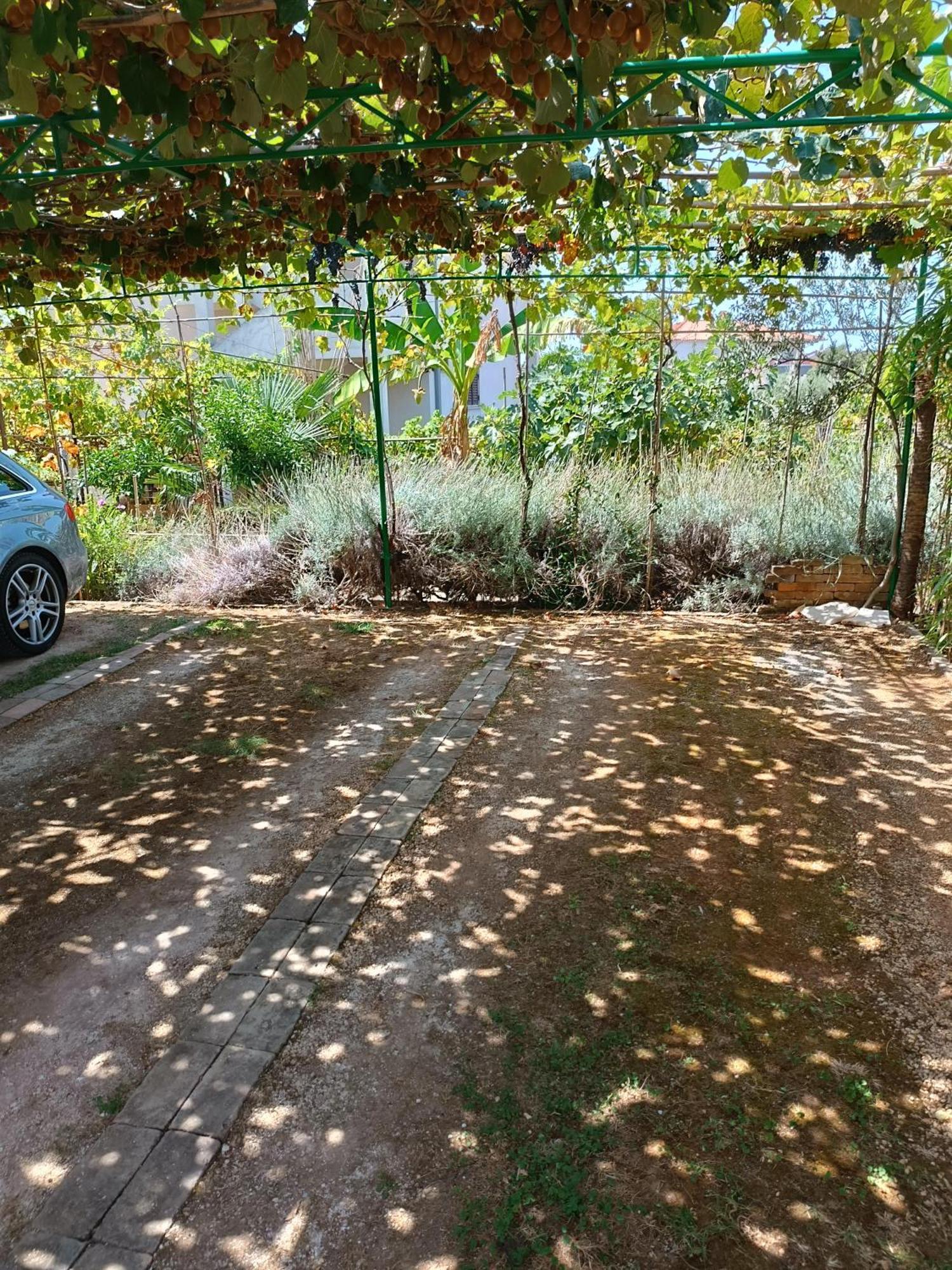 פיישצ'נה אובלה Levak Apartments - Apt. 1 מראה חיצוני תמונה